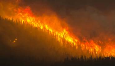 What To Do If You're Impacted By The McBride Fire